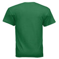ANTIQUE IRISH GREEN - BACK